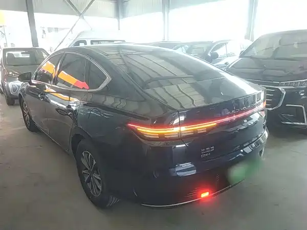 BYD Destroyer 05 2024