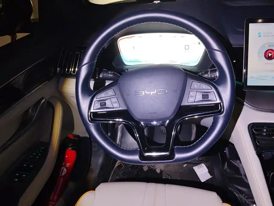 BYD Song PLUS New Energy 2023 — фото 15
