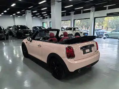 MINI MINI 2018
