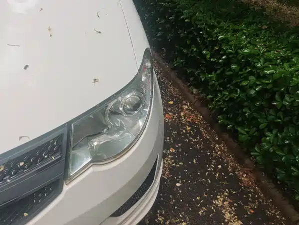 Wuling Hongguang 2018