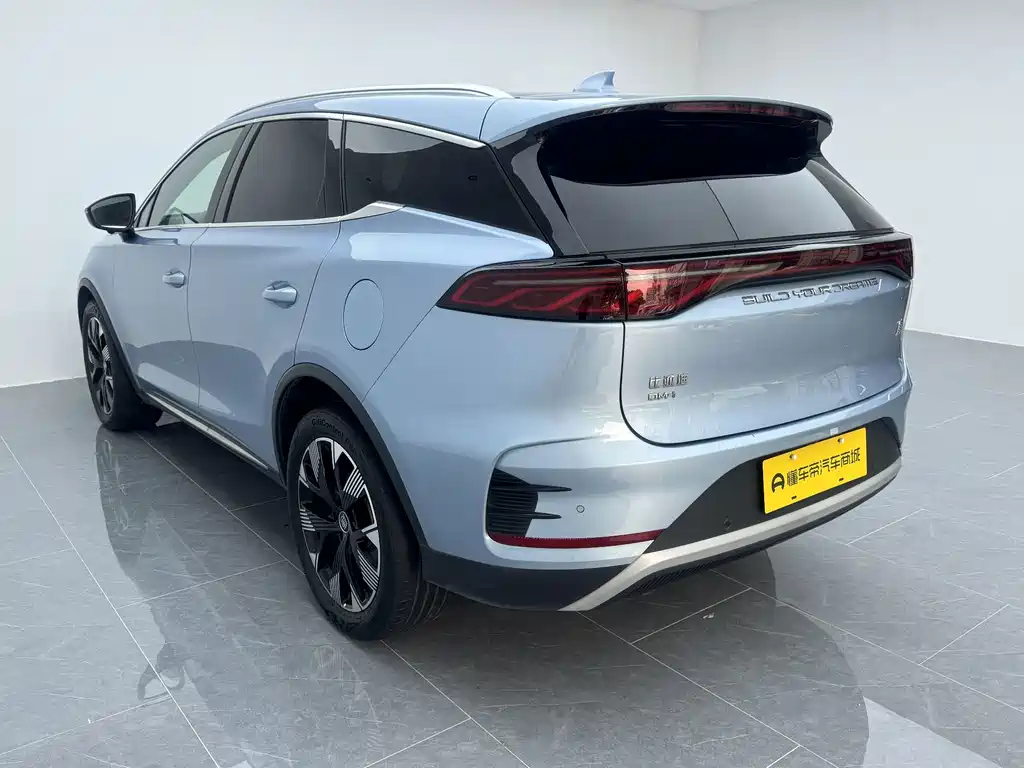 BYD Tang New Energy 2024 — фото 12