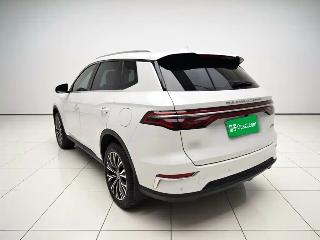 BYD Song Pro New Energy 2019 — фото 4