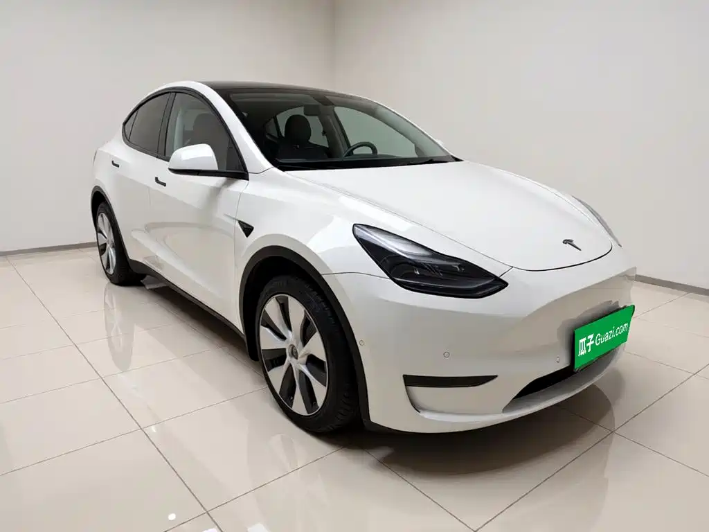 Tesla Model Y 2021 — фото 3