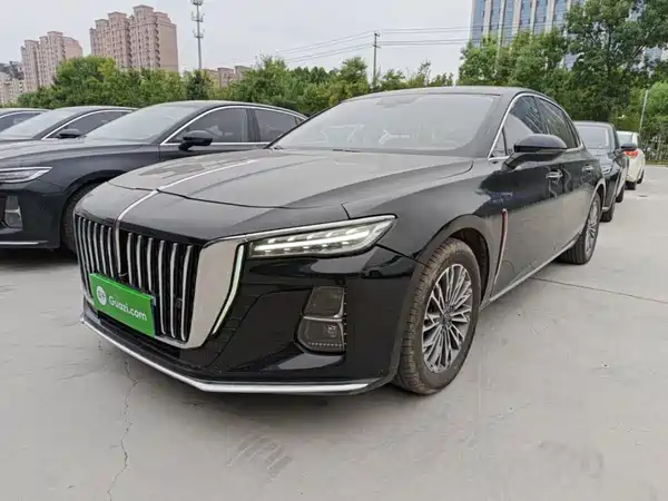 Hongqi H5 2024