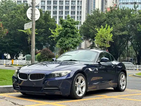 BMW Z4 2010
