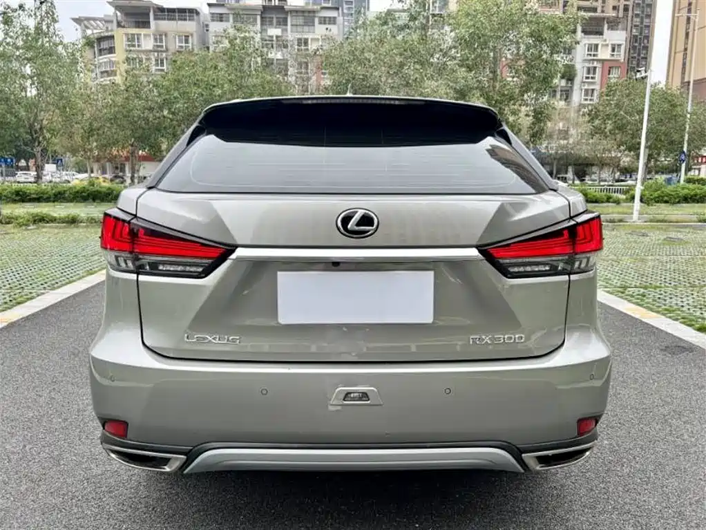 Lexus RX 2020 — фото 8