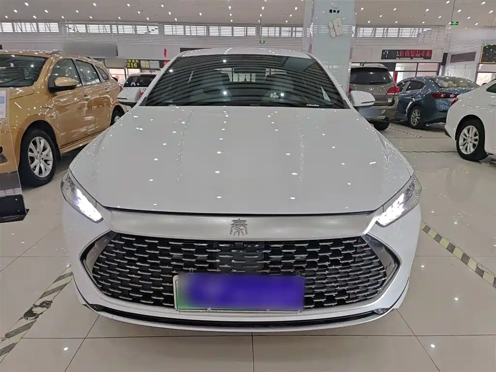 BYD Qin PLUS 2025 — фото 3