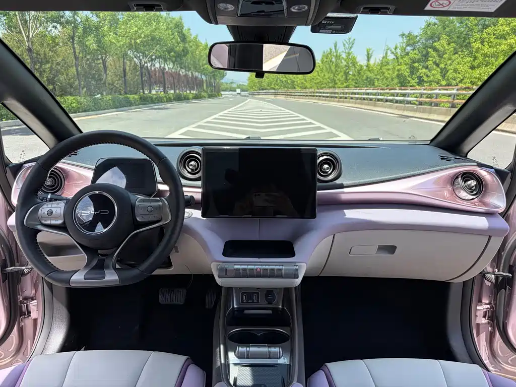 BYD Dolphin 2022