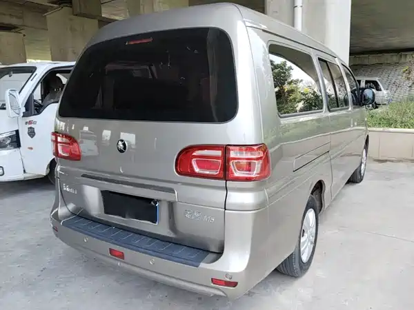 Dongfeng Lingzhi 2024