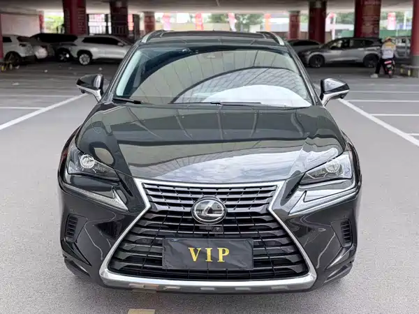 Lexus NX 2020