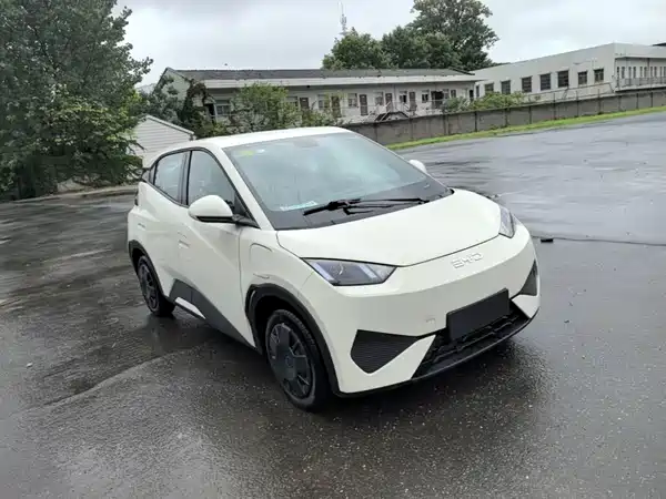 BYD Seagull 2026