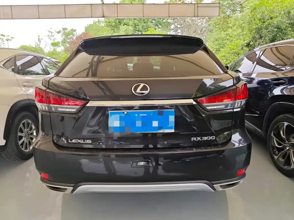 Lexus RX 2020 — фото 2