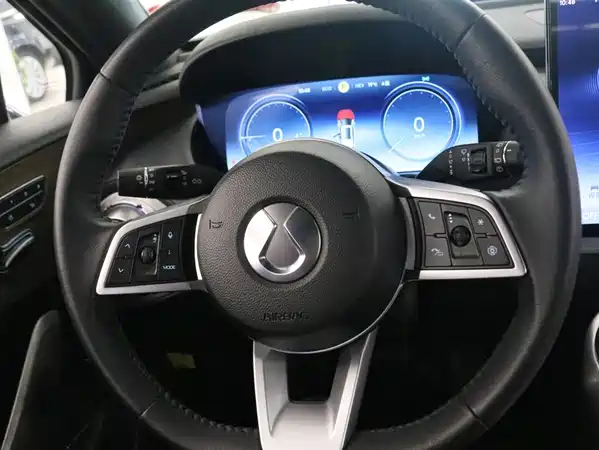 Denza X 2020