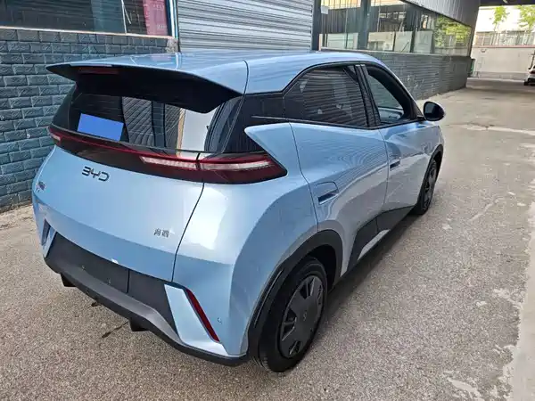 BYD Seagull 2024