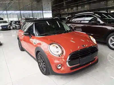 MINI MINI 2020