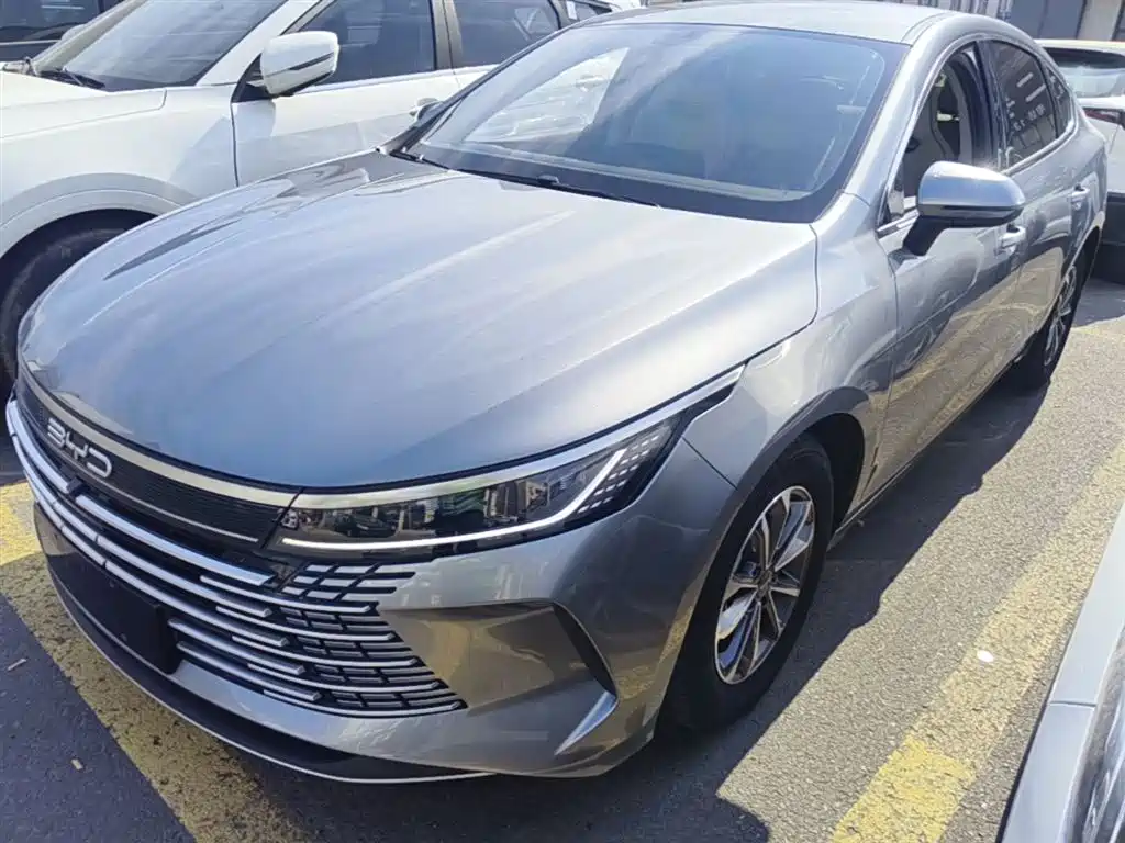 BYD Destroyer 05 2025 — фото 2