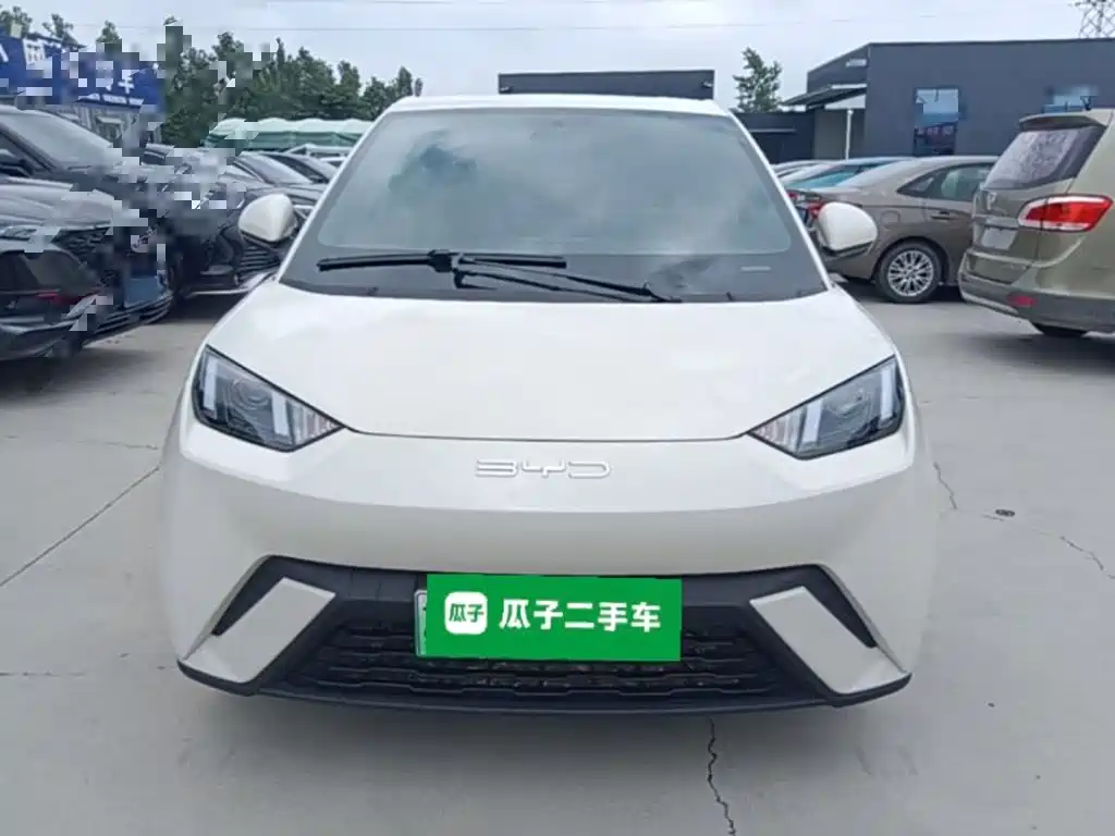BYD Seagull 2024