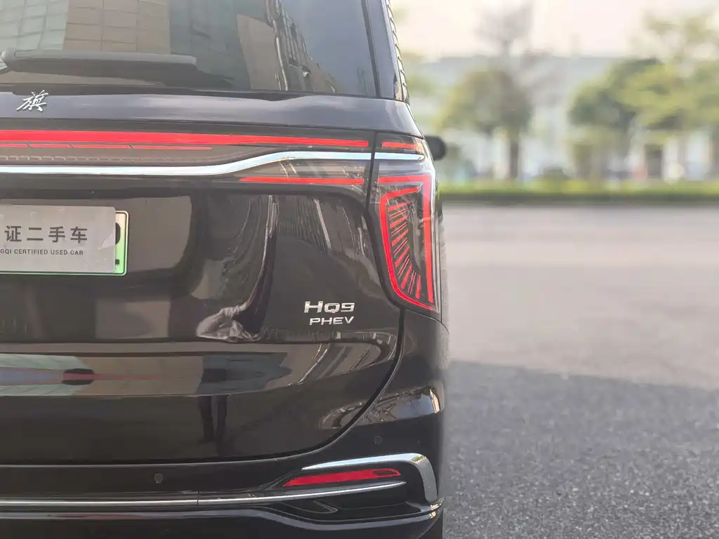 Hongqi HQ9 PHEV 2024 — фото 10