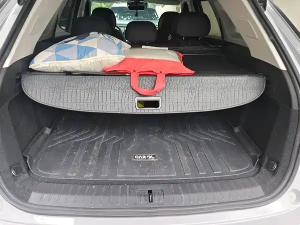 Chery Fengyun T9 2024