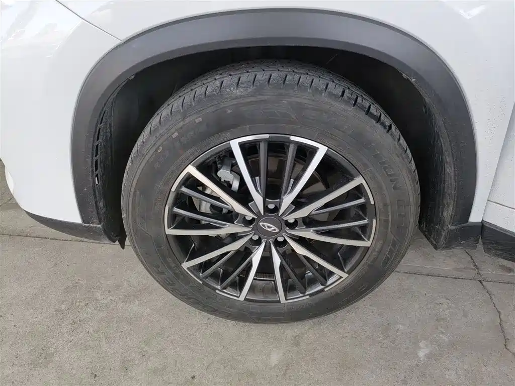Chery Tiggo 8 PLUS 2021 — фото 25