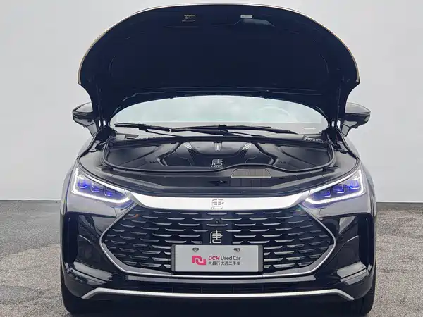 BYD Tang New Energy 2024