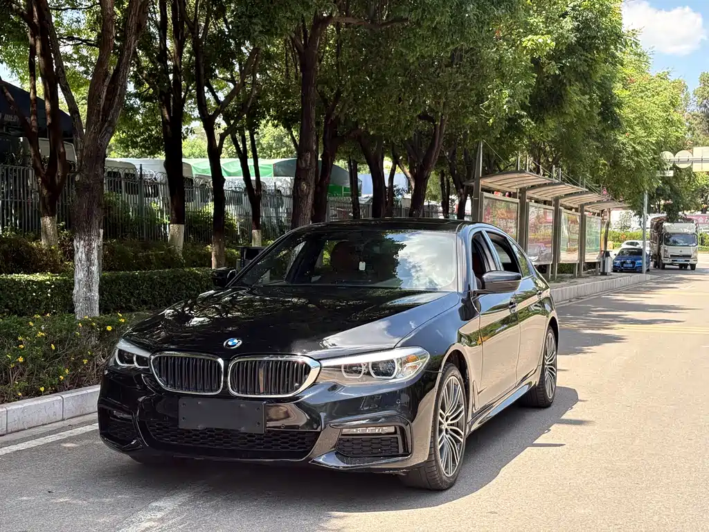 BMW 5 Series 2019