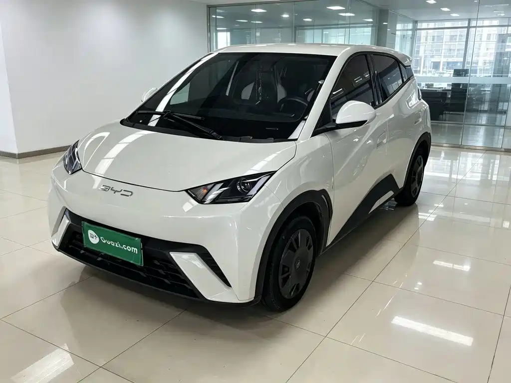 BYD Seagull 2024