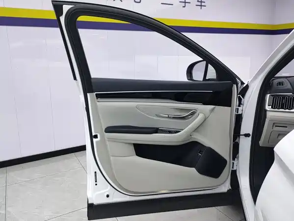 BYD Song PLUS New Energy 2024