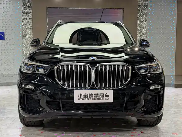 BMW X5 2022