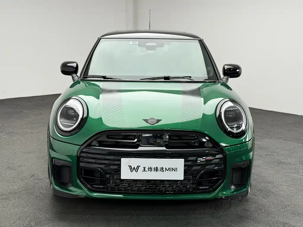 MINI MINI 2025