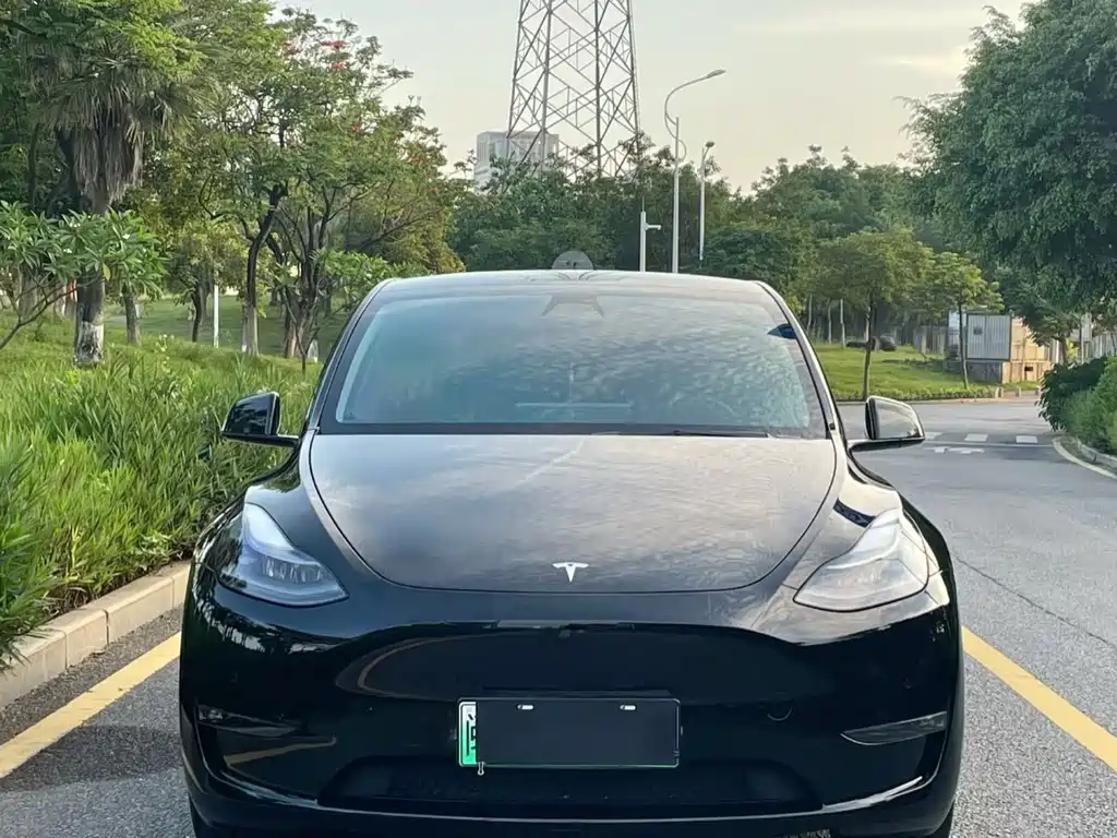 Tesla Model Y 2021 — фото 2