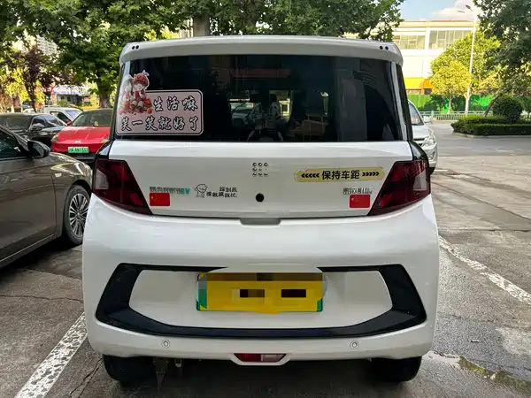 Dongfeng Scenery MINIEV 2022