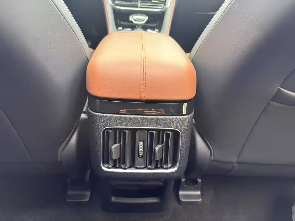 BYD PLUS New Energy 2023 — фото 30