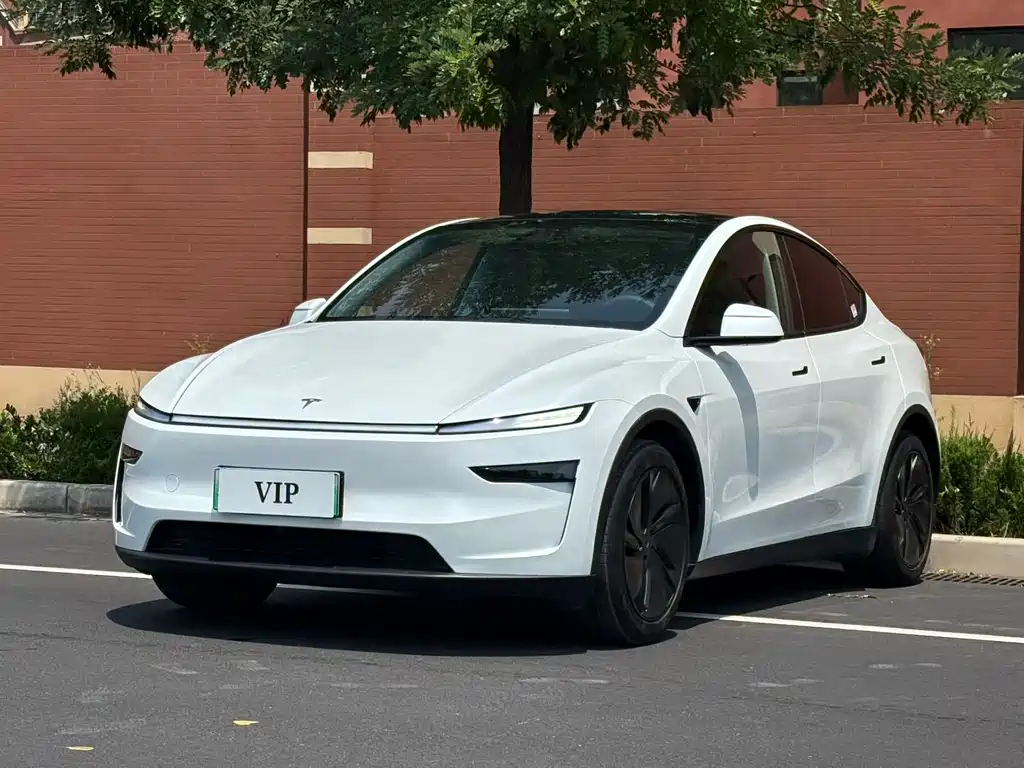 Tesla Model Y 2025 — фото 1