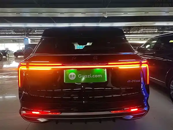 Hongqi E-HS9 2021