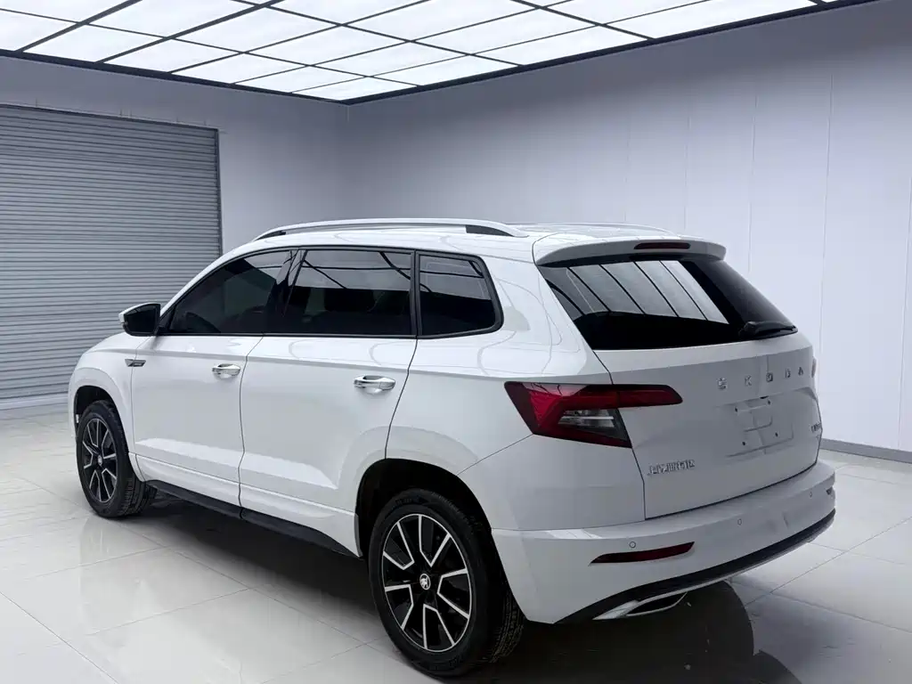 Skoda Karoq 2022 — фото 6