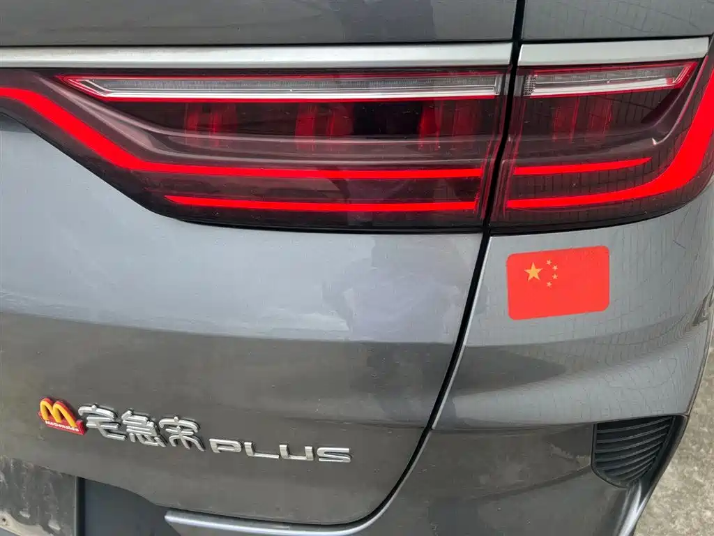 BYD PLUS New Energy 2021 — фото 19