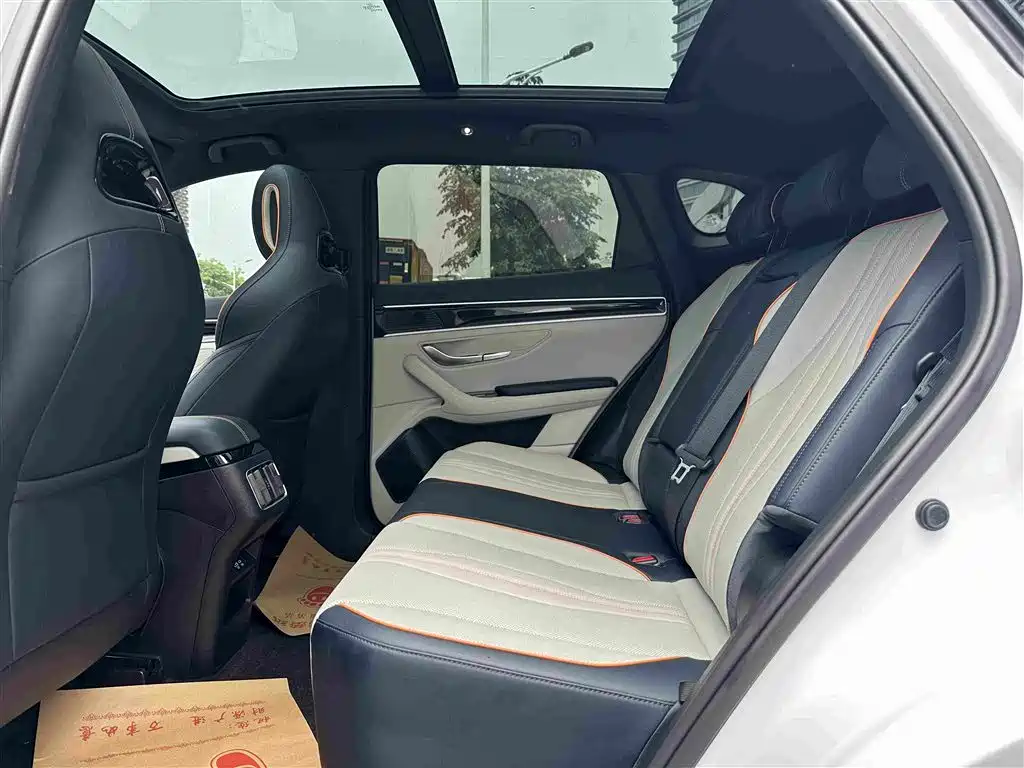 BYD PLUS New Energy 2023 — фото 18