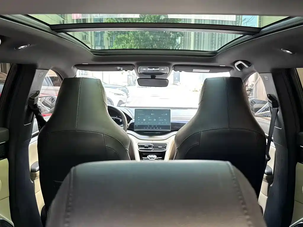 BYD PLUS New Energy 2022 — фото 11