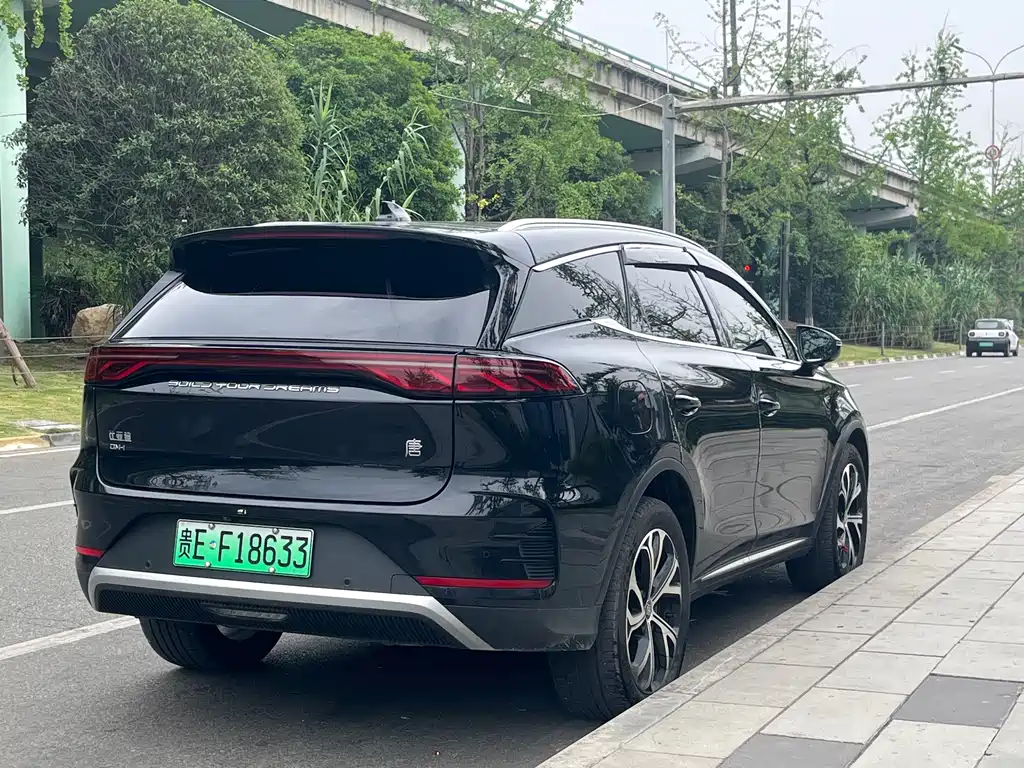 BYD Tang New Energy 2025 — фото 17