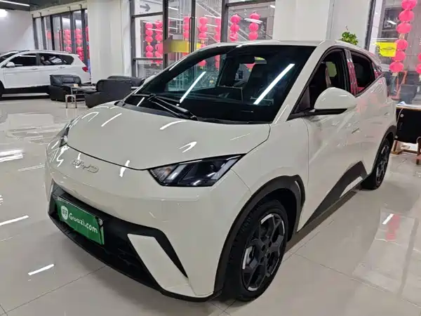 BYD Seagull 2024
