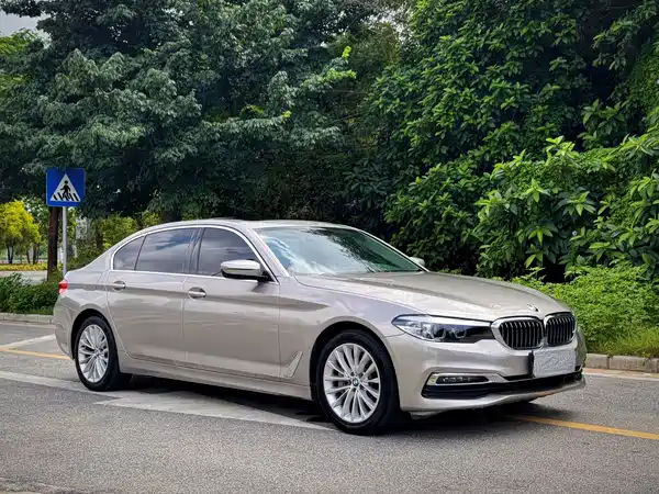 BMW 5 Series 2019