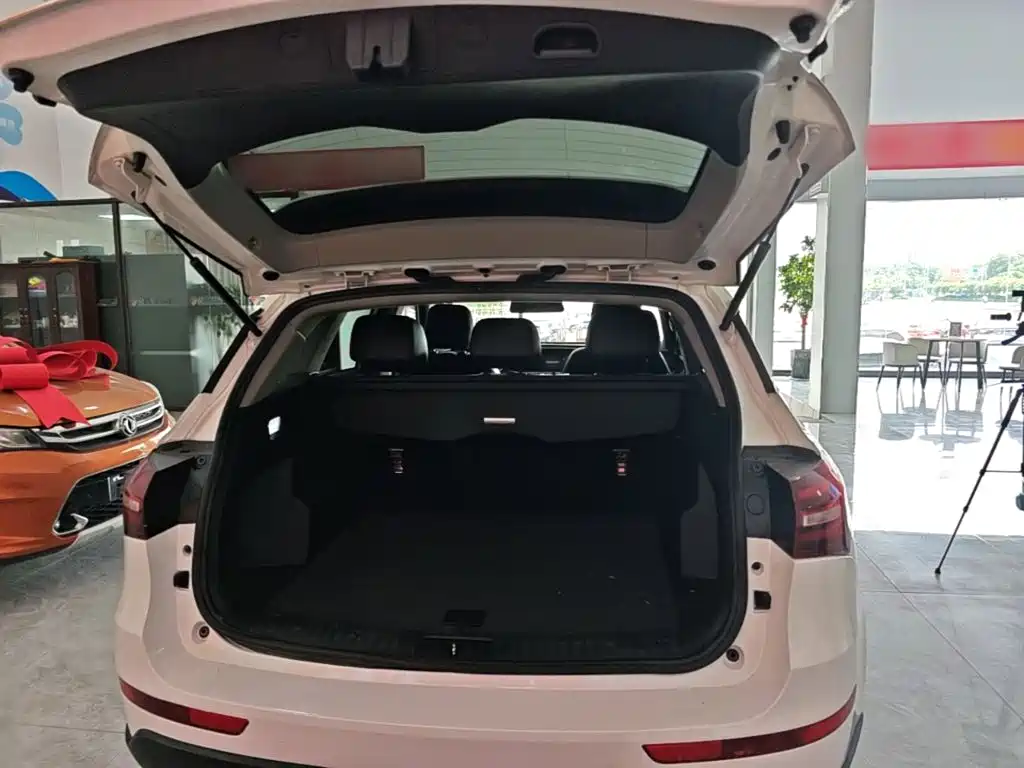 Zotye T600 Coupe 2018 — фото 19