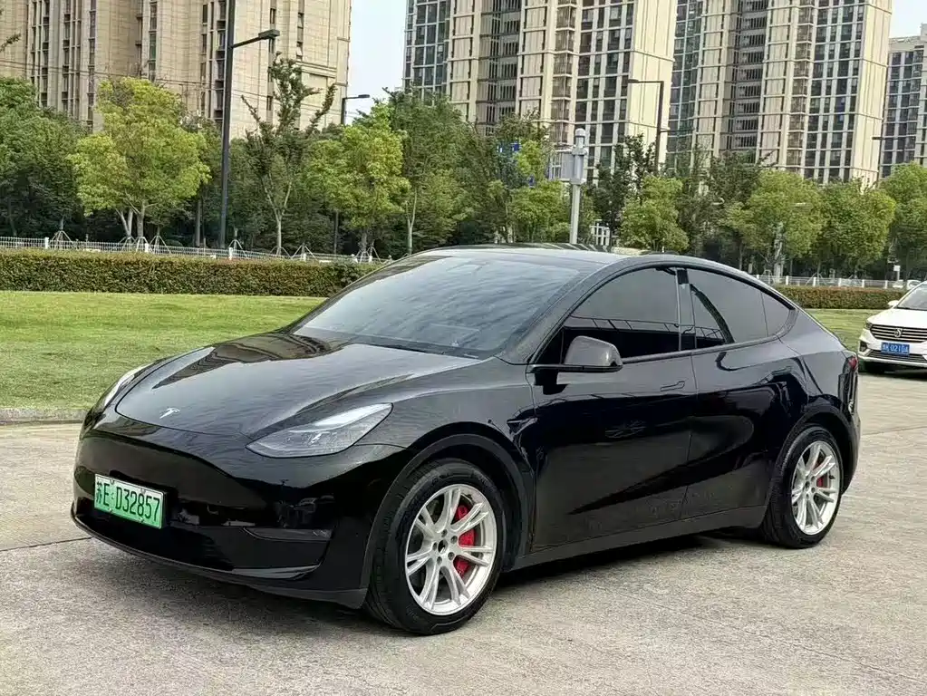 Tesla Model Y 2021 — фото 2