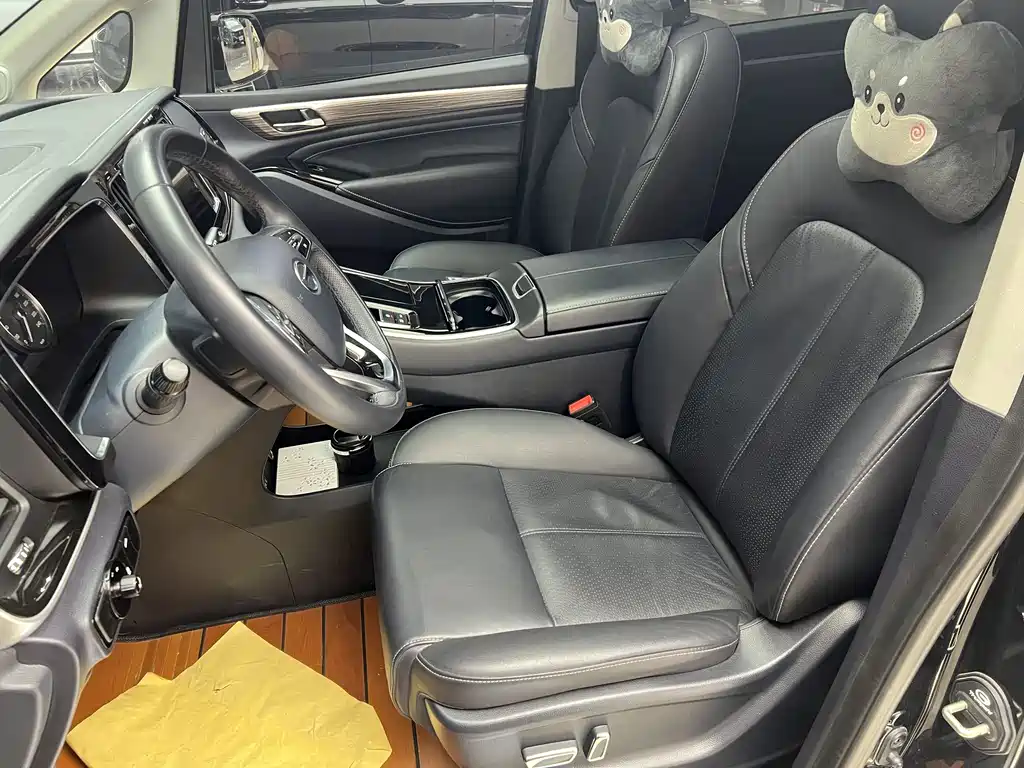 GAC Trumpchi M8 2023 — фото 20