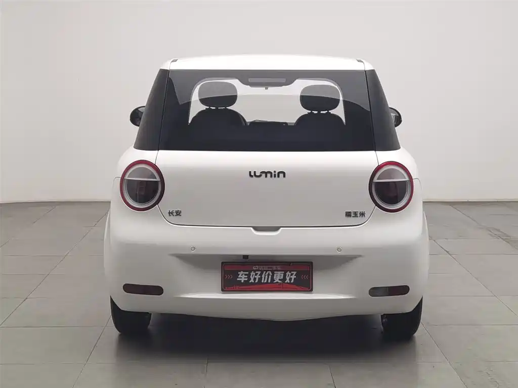 Qiyuan Lumin 2024