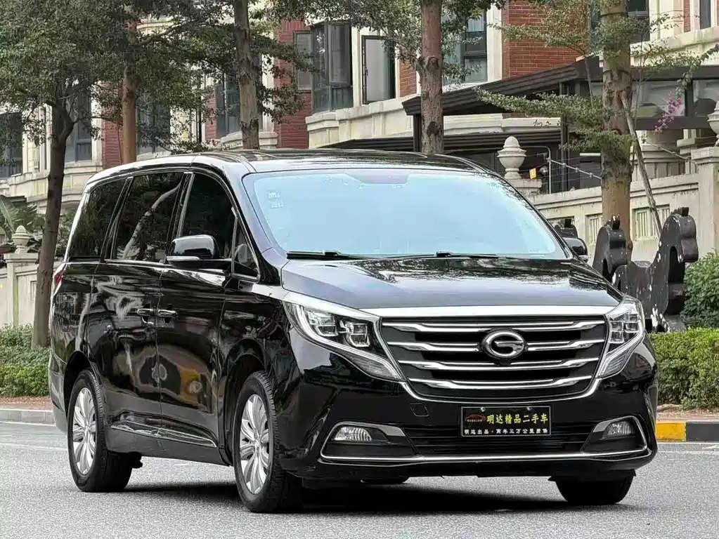 GAC Trumpchi M8 2018 — фото 13