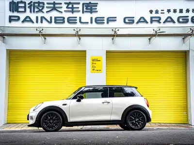 MINI MINI 2021
