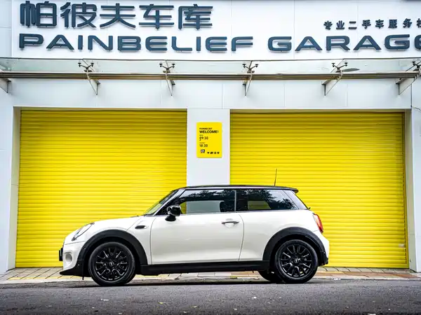 MINI MINI 2021