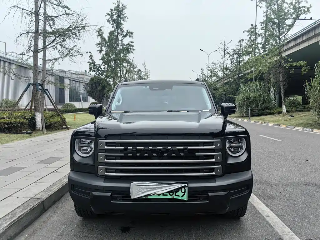 Haval Menglong New Energy 2024